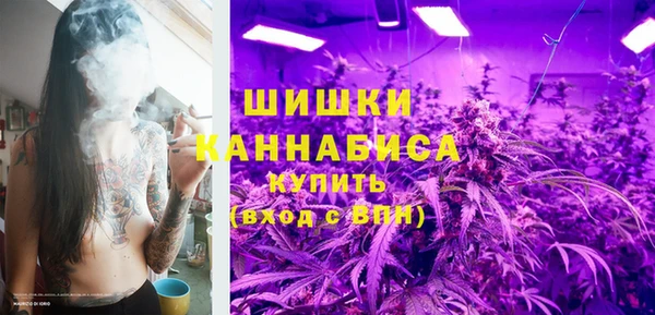 PSILOCYBIN Балахна