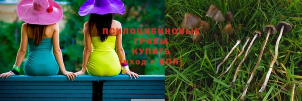 PSILOCYBIN Балахна