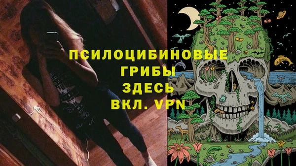 молекула духа Горно-Алтайск