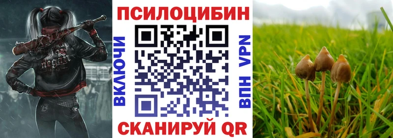 Псилоцибиновые грибы мицелий  наркотики  Юрьевец 